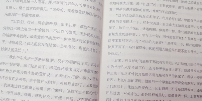 小说【寸界】简介、剧情概述、作者简介、章节目录、精彩摘录、读后感1500字