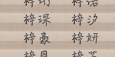 名字【和梓】含义寓意、点评打分、笔画分析、性格印象、五行属性2000字