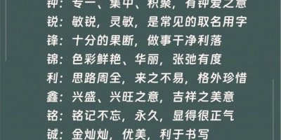 名字【金尼】含义寓意、点评打分、笔画分析、性格印象、五行属性2000字