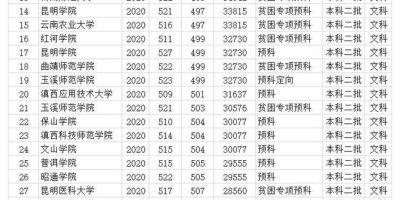 云南2019年二本及预科投档分数线出来了吗？