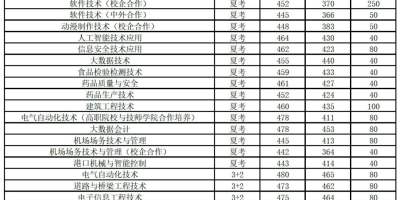 山东职业学院2024各专业录取分数线查询，含详细数据