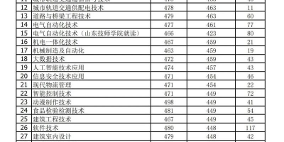 山东职业学院2024各专业录取分数线查询，含详细数据