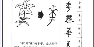 名字【华颖】含义寓意、点评打分、笔画分析、性格印象、五行属性2000字